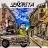 Señorita (feat. Erick the Architect) - Single album lyrics, reviews, download