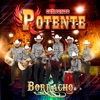 Borracho - Single