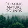 Relaxing Nature Sounds: Relaxation Study Time, Help to Sleep, Power to Calm Down album lyrics, reviews, download