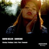 David Keller - Feelings
