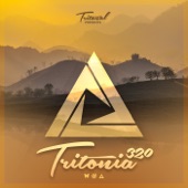 Tritonia 320 artwork