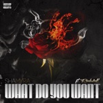 songs like What do you Want (feat. Rockwell)