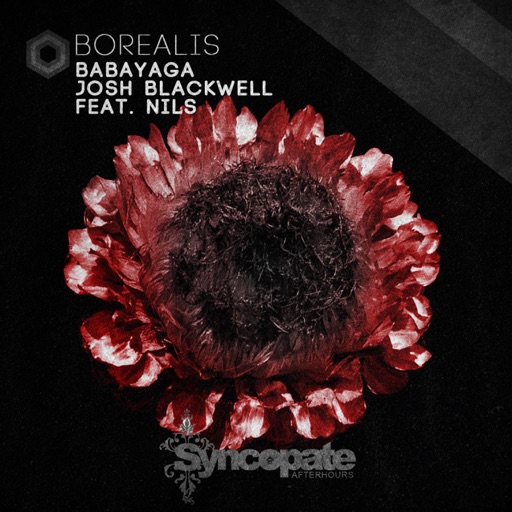 Borealis (feat. Nils) - Single by Josh Blackwell, Babayaga