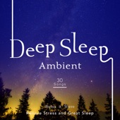 Deep Sleep Ambient - Relieve Stress and Great Sleep artwork