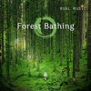 Kenio Fuke - Enchanted Forest