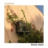 Blank Slate - Single