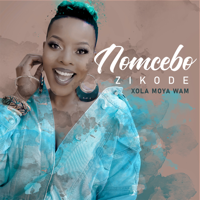 Nomcebo Zikode - Xola Moya Wam' artwork