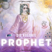 Die Kolonie artwork