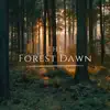 The Forest Dawn - Single album lyrics, reviews, download