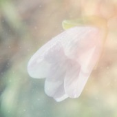 Blooming Spring - EP