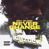 Never Change - Single album lyrics, reviews, download