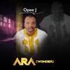 ARA (Wonder) album lyrics, reviews, download