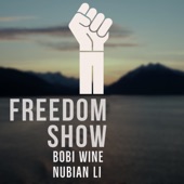 Freedom Show (feat. Nubian Li) artwork