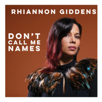 Rhiannon Giddens - Don't Call Me Names artwork