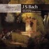 J.S. Bach: Violin Concertos artwork