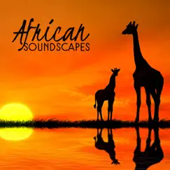 African Savanna at Night Song Lyrics
