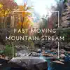 Fast Moving Mountain Stream Sound Effects - Single album lyrics, reviews, download