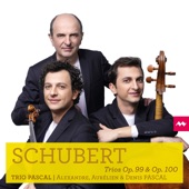 Schubert: Trios Op. 99 & Op. 100 artwork