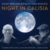 Night in Calisia (feat. Wlodek Pawlik Trio, Kalisz Philharmonic Orchestra & Adam Klocek) - Randy Brecker