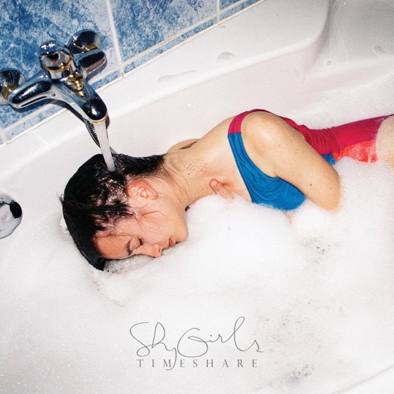 Cover artwork for Still Not Falling