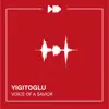 Voice of a Savior - Single album lyrics, reviews, download