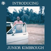 Introducing Junior Kimbrough artwork