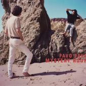 Pavo Pavo - Check The Weather