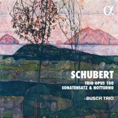 Schubert: Trio Opus 100, Sonatensatz & Notturno artwork