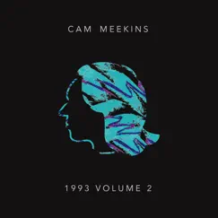 1993, Vol. 2 by Cam Meekins album reviews, ratings, credits