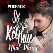 Sợ Phải Kết Thúc (Remix) artwork