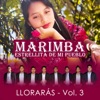 Marimba Estrellita de Mi Pueblo