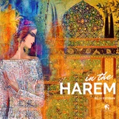 In the Harem (feat. Belonoga) - EP artwork