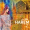 In the Harem artwork