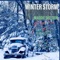 Winter Storm - Maddie Skeldon lyrics