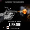 MONARCH KEEZ - Linkage (Monarch Keez)