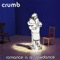Carter (Album Version) - Crumb lyrics