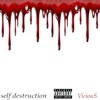 Self Destruction - Single