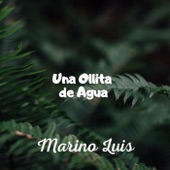 Una Ollita de Agua artwork