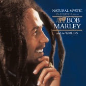 Bob Marley - Time Will Tell