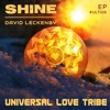 Shine - Single