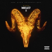 Mele7 2 artwork