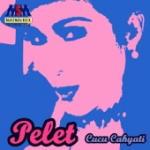 Pelet artwork