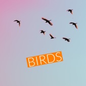 Birds (feat. Corbyn Kites) artwork