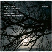 Piano Concerto No. 2 in B-Flat Major, Op. 83: II. Allegro appassionato artwork