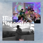 Mix Reggaeton 5 artwork