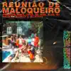REUNIÃO DE MALOQUEIRO (feat. Dj Puffe, MC Lord, N1 & Gê) - Single album lyrics, reviews, download