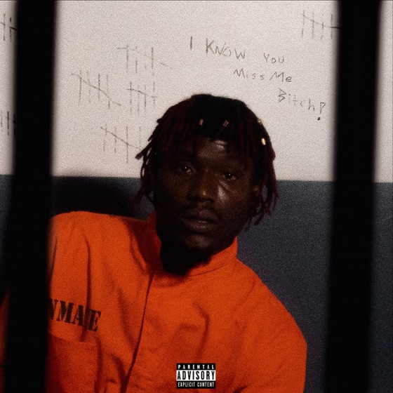 Cover artwork for I Know You Miss Me Bitch!