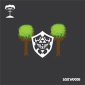 Lost Woods artwork