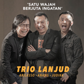 Satu Wajah Berjuta Ingatan by Trio Lanjud - cover art
