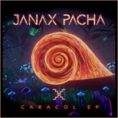 Caracol artwork